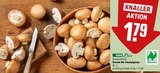 Aktuelles Braune Bio Champignons Angebot bei REWE in Essen ab 1,79 €