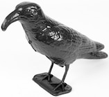 Thomas Philipps - Taubenschreck Angebot im Prospekt Taubenschreck bei Thomas Philipps im Prospekt "" für 5,55 €