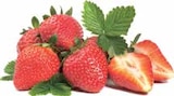 Aktuelles Erdbeeren Angebot bei E center in Regensburg ab 2,77 €