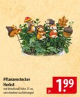 Pflanzenstecker Herbst Angebote bei famila Nordost Neumünster für 1,99 €