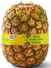 Penny Perlesreut - Ananas ohne Krone Angebot im Prospekt Ananas ohne Krone bei Penny im Perlesreut Prospekt für 1,49 €