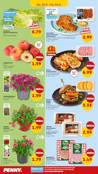 Fleisch im aktuellen Penny Prospekt (Moers) Fleisch im Penny Prospekt "Wer gĂĽnstig will, muss Penny." mit 37 Seiten (Moers)