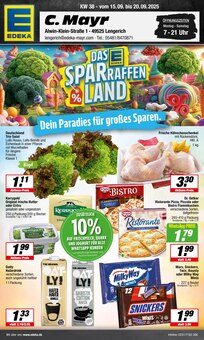 Aktueller EDEKA Hasbergen Prospekt EDEKA Hasbergen Prospekt "Aktuelle Angebote" mit 18 Seiten