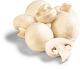 Champignons im Netto Marken-Discount Prospekt Champignons weiß im aktuellen Netto Marken-Discount Prospekt für 1,69 €