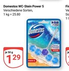 WC-Stein Power 5 Angebote von Domestos bei GLOBUS Nettetal für 1,29 €