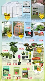 Aktueller Jawoll Prospekt mit Gewächshaus, "Sonderposten-Märkte", Seite 6