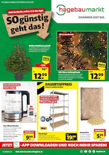 Hagebaumarkt Prospekt "SO günstig geht das!" mit  Seiten (Bocholt)