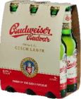 Original Czech Lager Angebote von Budweiser bei Getränke Paradies Bochum für 4,79 €
