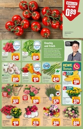 Geschenkartikel im REWE Prospekt Geschenkartikel im REWE Prospekt "Dein Markt" auf Seite 7