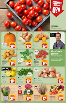 Pilze im REWE Prospekt "Dein Markt" mit 40 Seiten (Hamburg)