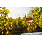 I.G.P. Île de Beauté - RESERVE DE PADULONE en promo chez Carrefour Plaisir à 2,99 €