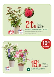Offre Rosier dans le catalogue Botanic du moment à la page 5