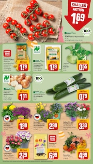 Gartenerde im REWE Prospekt "Dein Markt" mit 30 Seiten (Darmstadt)