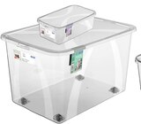 Box mit Deckel »Lona« von rotho im aktuellen REWE Prospekt für 1,99 €