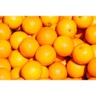 Orange à dessert CARREFOUR Le Marché - CRF LE MARCHE en promo à 2,49 € chez Carrefour Orange à dessert CARREFOUR Le Marché - CRF LE MARCHE dans le catalogue Carrefour