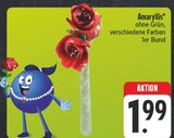 Amaryllis Angebote bei EDEKA Gera für 1,99 €