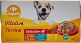 Terrines pour chiens - CARREFOUR COMPANINO VITALIVE en promo chez Carrefour Terrines pour chiens - CARREFOUR COMPANINO VITALIVE dans le catalogue Carrefour