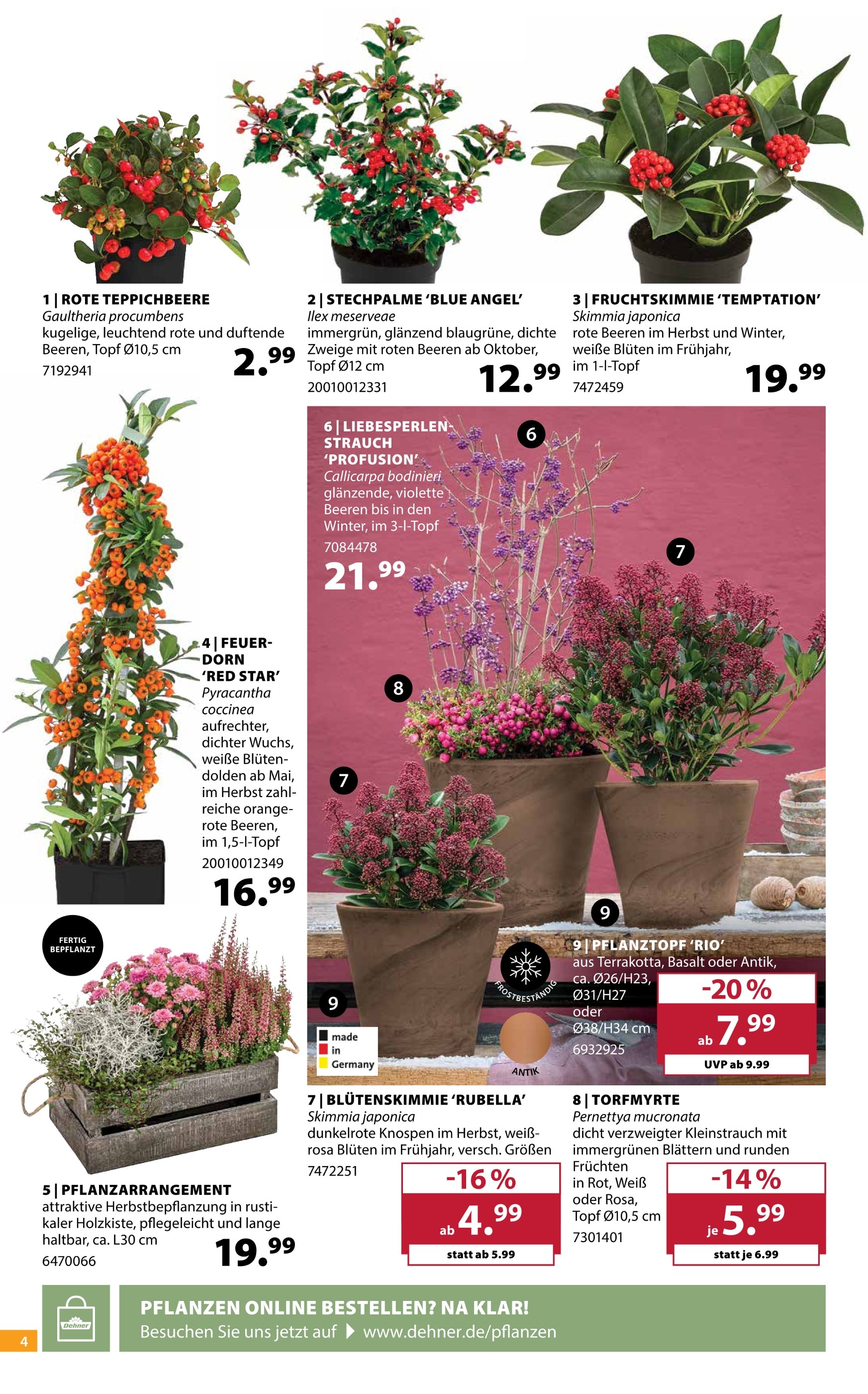 KiK Blumentopf: Angebote & Preise im Prospekt vergleichen!