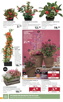 Blumentopf im Dehner Garten-Center Prospekt "AKTUELLE ANGEBOTE" mit 16 Seiten (Essen)