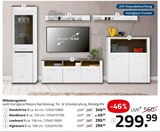 Standvitrine im aktuellen ROLLER Prospekt für 49,99 €