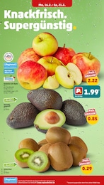 Penny Kiwi im Prospekt 