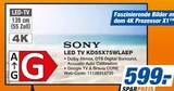 expert Holzkirchen Prospekt mit  im Angebot für 599,00 €