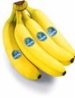 Bananen Angebote von Chiquita bei Netto Marken-Discount Bautzen für 1,75 €