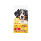 Croquettes pour grand chien adulte - CARREFOUR COMPANINO VITALIVE dans le catalogue Carrefour