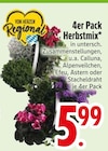 Herbstmix von  im aktuellen EDEKA Prospekt für 5,99 €