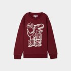 Sweat oversize manches longues bordeaux garçon - La Halle Sweat oversize manches longues bordeaux garçon à 6,99 € dans le catalogue La Halle