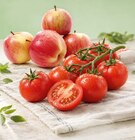 Bio Apfel im Netto Marken-Discount Prospekt Bio Apfel von BioBio im aktuellen Netto Marken-Discount Prospekt für 2,49 €
