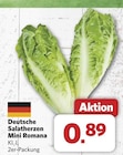 Deutsche Salatherzen Mini Romana bei combi im Bassum Prospekt für 0,89 €