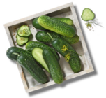 Angebot im Kaufland Thaleischweiler-Fröschen Prospekt Kaufland Thaleischweiler-Fröschen Prospekt mit im Angebot für 1,49 €