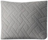 Deko-Kissen Angebote von HOME IDEAS bei Penny Ravensburg für 4,99 €