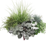 Herbstpflanzen Me-Tallica bei Hagebaumarkt im Pößneck Prospekt für 3,99 €