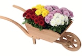 HOLZ-PFLANZSCHUBKARRE Angebote bei Wreesmann Weimar für 24,99 €