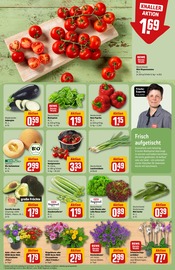 Aktueller REWE Prospekt mit Paprika, "Dein Markt", Seite 7
