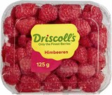 Mangos Osteen genussreif im Angebot bei E center in Rastatt Mangos Osteen genussreif Angebote bei E center Rastatt für 1,99 €