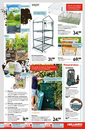 Blumentopf im Hellweg Prospekt Blumentopf im Hellweg Prospekt Wunderschne Blütenpracht auf S. 13