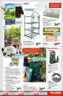 Pflege im aktuellen Hellweg Prospekt (Essen) Pflege im Hellweg Prospekt "Wunderschne Blütenpracht" mit 16 Seiten (Essen)