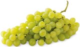 REWE Heimertingen - Helle Tafeltrauben Angebot im Prospekt Helle Tafeltrauben bei REWE im Heimertingen Prospekt für 1,49 €