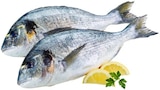 Dorade Royal im Angebot bei REWE in Wiesbaden Dorade Royal Angebote bei REWE Wiesbaden für 1,39 €