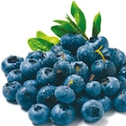 Heidelbeeren im aktuellen Netto mit dem Scottie Prospekt