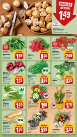 Farbe im REWE Prospekt in Bergheim Aktueller REWE Prospekt mit Farbe, "Dein Markt", Seite 7