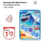 WC-Stein Power 5 im Angebot bei GLOBUS in Erfurt WC-Stein Power 5 Angebote von Domestos bei GLOBUS Erfurt für 1,29 €