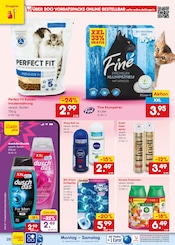 Steine im Netto Marken-Discount Prospekt in Sankt Augustin Aktueller Netto Marken-Discount Prospekt mit Steine, "Aktuelle Angebote", Seite 42