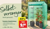 Aktuelles Tomaten-Gewächshaus Angebot bei Thomas Philipps in Hamburg ab 9,99 €
