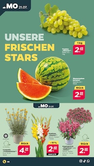 Aktueller Netto mit dem Scottie Prospekt "Günstig. Besser. Für Dich." Aktueller Netto mit dem Scottie Prospekt