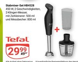 Stabmixer-Set HB4528 Angebote von Tefal bei GLOBUS Maintal für 29,99 €