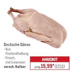 Aktuelle Gans Angebote bei METRO in Oldenburg Aktuelles Deutsche Gänse Angebot bei METRO in Oldenburg ab 17,11 €